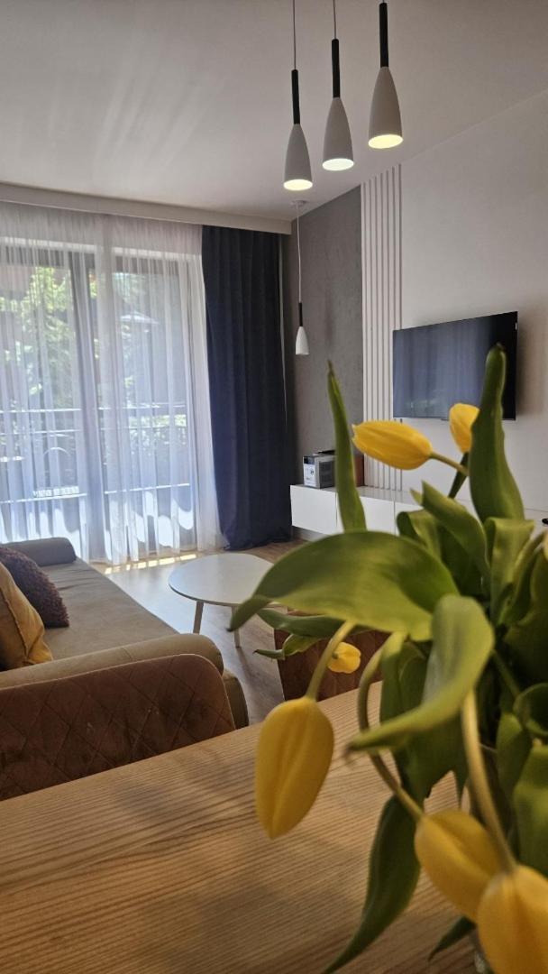 זקופאנה Apart4You Apartamenty Bulwary25 חדר תמונה