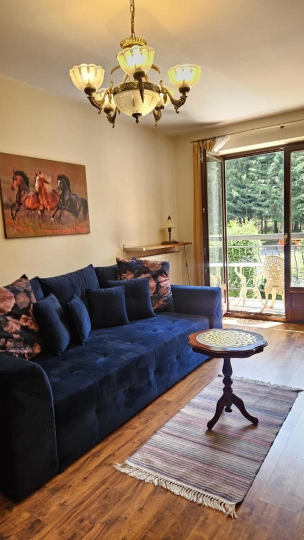 זקופאנה Apart4You Apartamenty Bulwary25 חדר תמונה